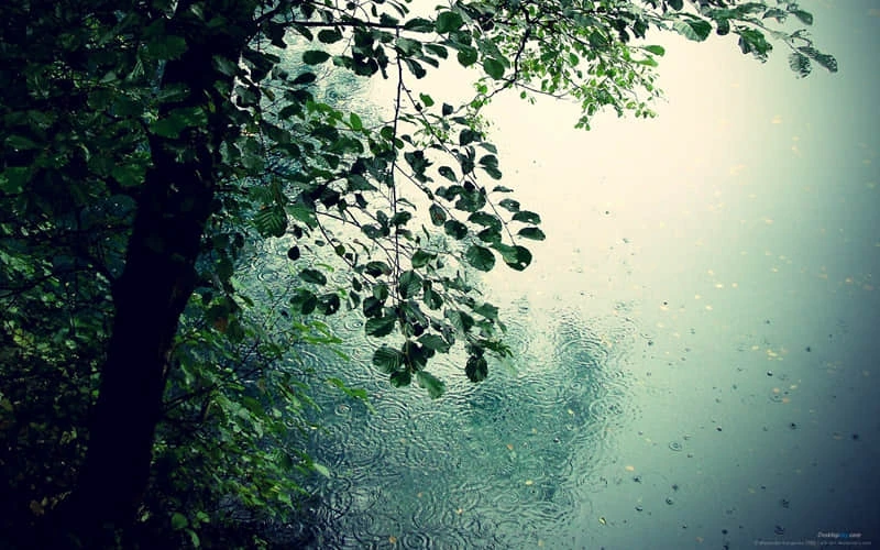 _1