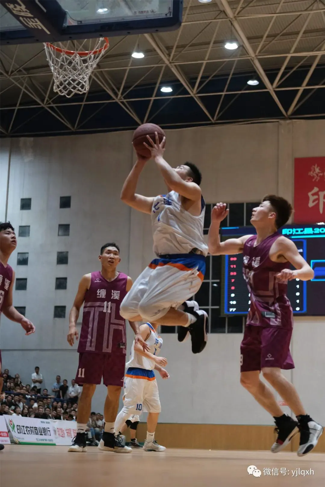 为什么篮球后卫需要特别的体能训练_1